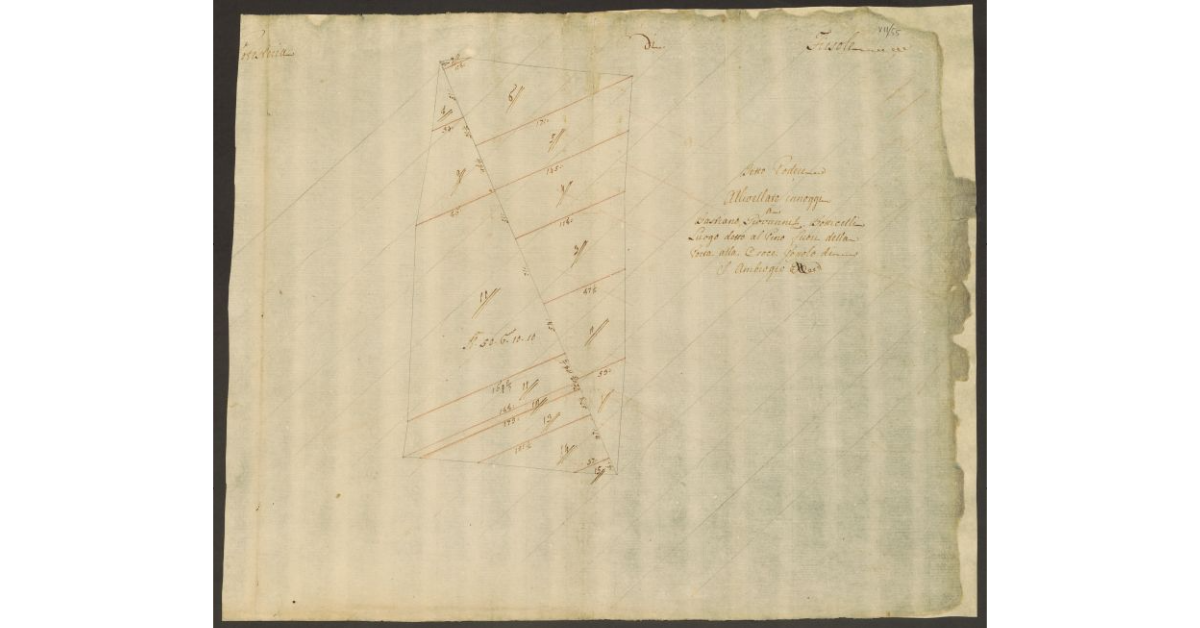 [Pianta di un podere di dominio diretto del Bigallo concesso a livello a Bastiano e Giovanni Botticelli nella comunità di Fiesole]