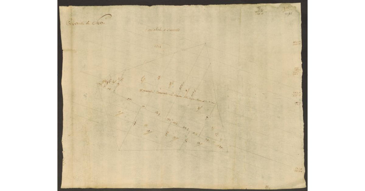 [Pianta di alcuni appezzamenti di terreno di dominio diretto del Bigallo e concessi a livello al marchese Corsi nella comunità di Sesto]