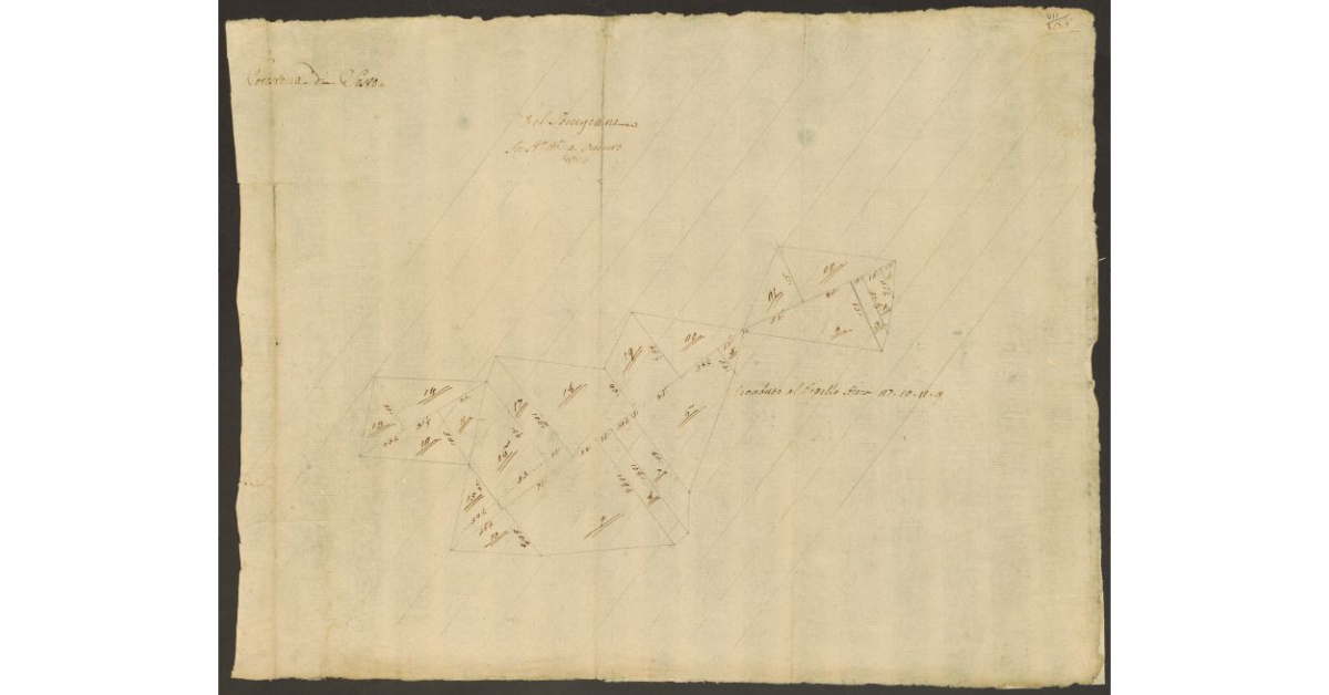 [Pianta di alcuni appezzamenti di terreno di dominio diretto del Bigallo e concessi a livello al Torrigiani nella comunità di Sesto]