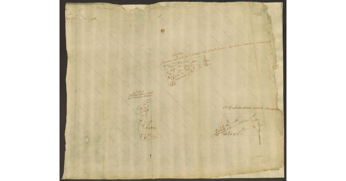 [Pianta di alcuni appezzamenti di terreno di dominio diretto del Bigallo concessi a livello nella comunità di Sesto]