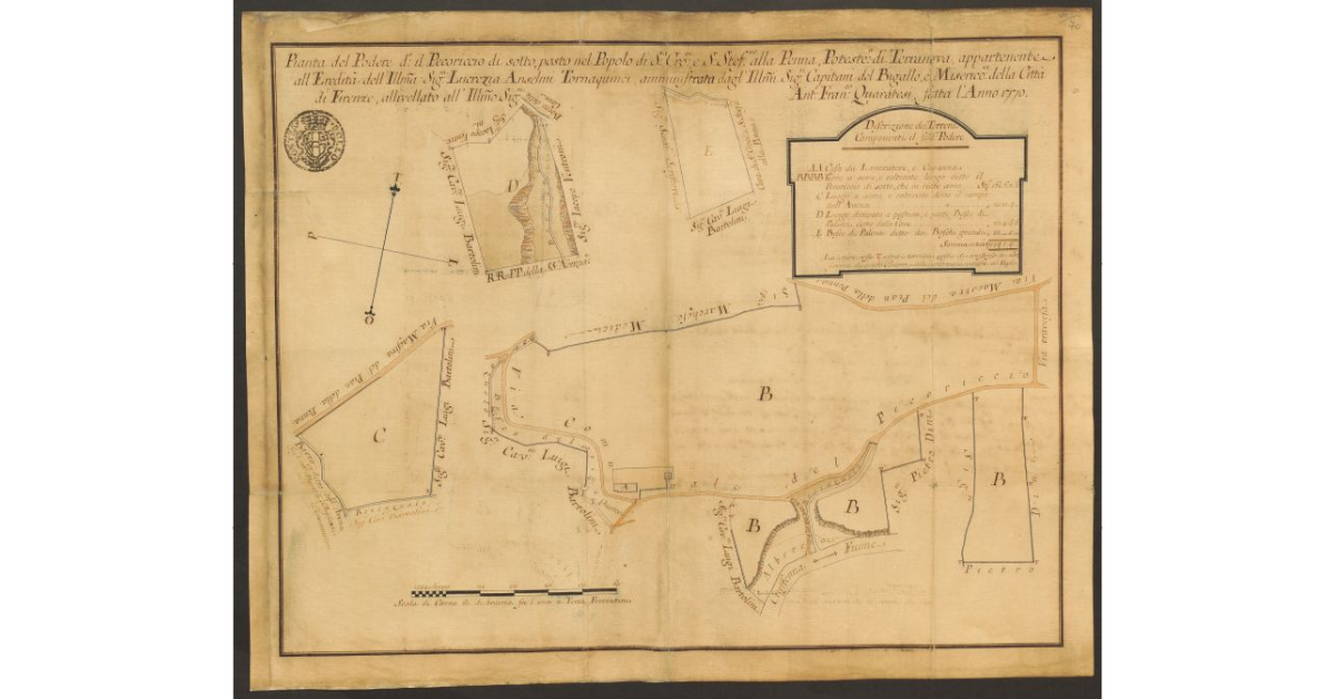Pianta del Podere detto il Pecoriccio di sotto, posto nel Popolo di S. Croce e S. Stefano alla Penna, Potesteria di Terranova, appartenente all'Eredità dell'Ill.ma Sig.ra Lucrezia Anselmi Tornaquinci, amministrata dagl'Ill.mi Sig. ri Capitani del Bigallo, e Misericordia della Città di Firenze, allivellato all'Ill.mo Sig.re Anton Francesco Quaratesi, fatta l'Anno 1770