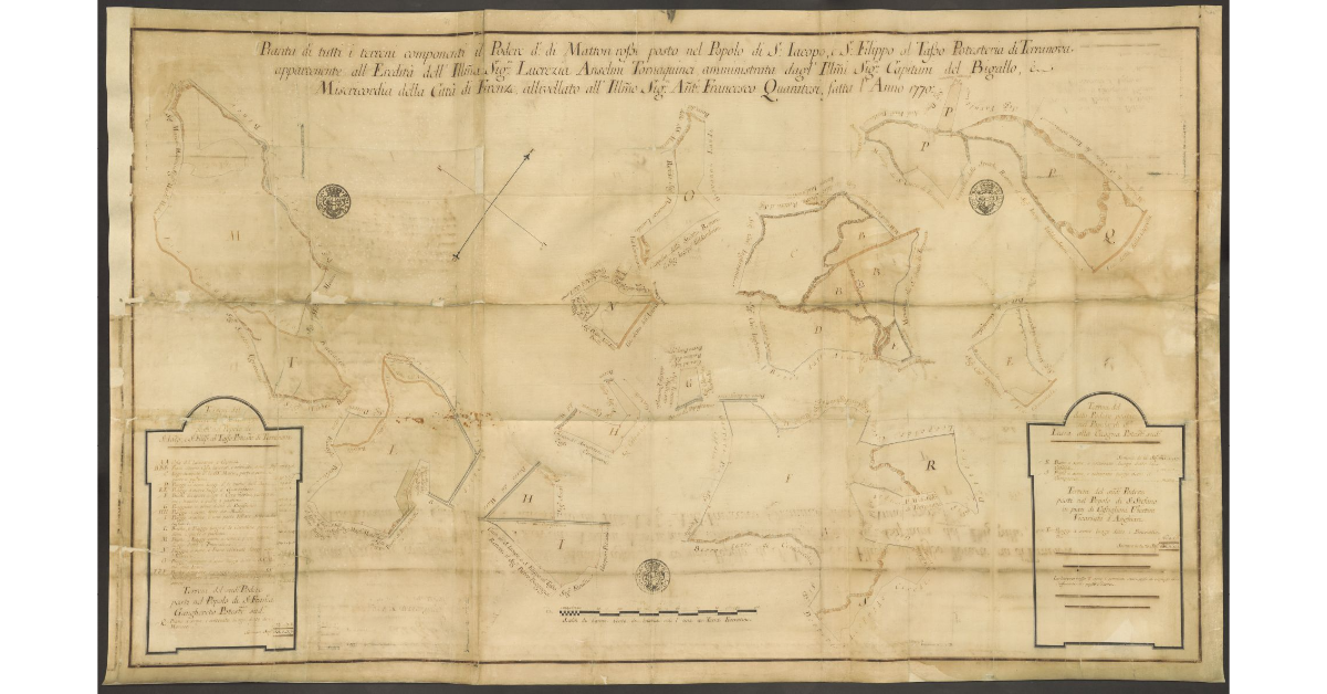 Pianta di tutti i terreni componenti il Podere detto di Matton rossi posto nel Popolo di S. Jacopo, e S. Filippo al Tasso Potesteria di Terranova appartenente all'Eredità dell'Ill.ma Sig.ra Lucrezia Anselmi Tornaquinci, amministrata dagl'Ill.mi Sig.ri Capitani del Bigallo, e Misericordia della Città di Firenze, allivellato all'Ill.mo Sig.re Anton Francesco Quaratesi, fatta l'Anno 1770