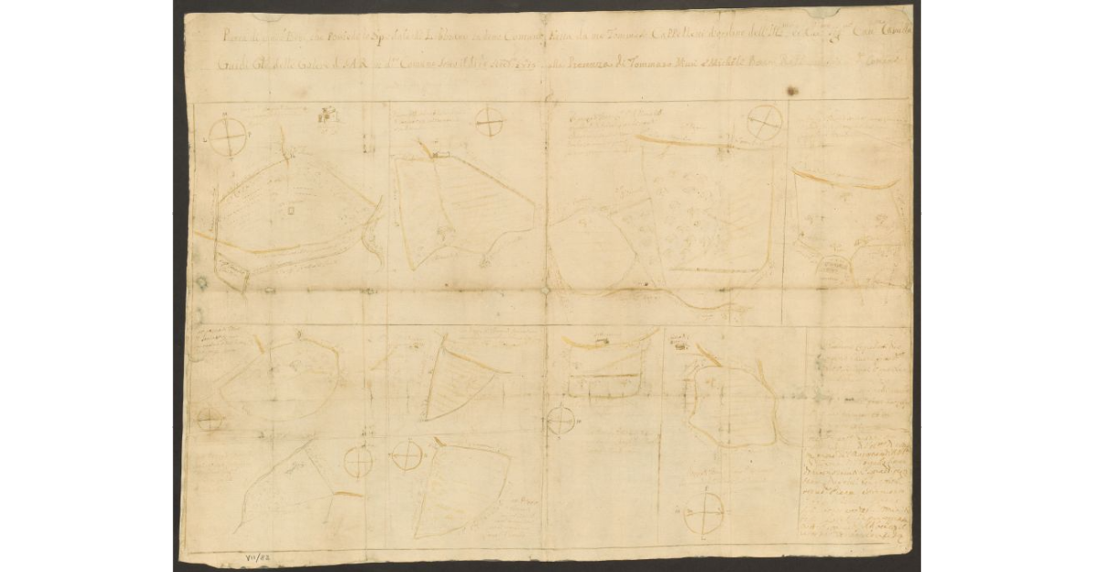 Pianta di tutti i Beni, che possiede lo Spedale di Libbrano in detto Comune, Fatta da me Tommaso Cappelletti d'ordine dell'Ill.mo et Ecc.mo Sig.re Cav.re Camillo Guidi G.le delle Galere di S.A.R. in detto Comune, sotto il di 13 settembre 1776 alla Presenza di Tommaso Musi e Michele Berni R. PP.....di detto Comune