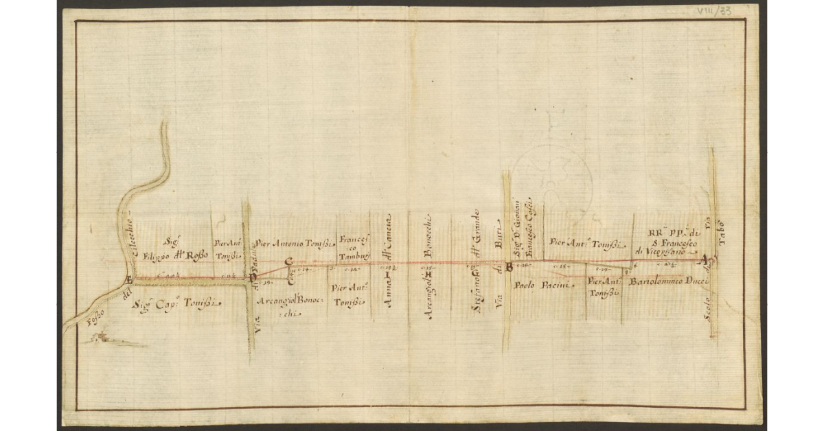 [Pianta dei terreni che si estendono fra il fosso del Cilecchio e lo scolo di Tabò, con l'indicazione della linea di confine]