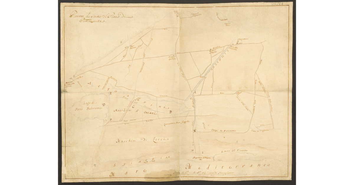 Pianta di parte del Piano di Pietrasanta