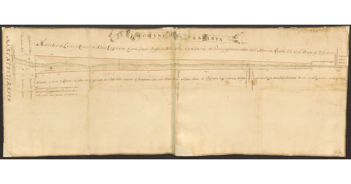 In Comune di Pietrasanta