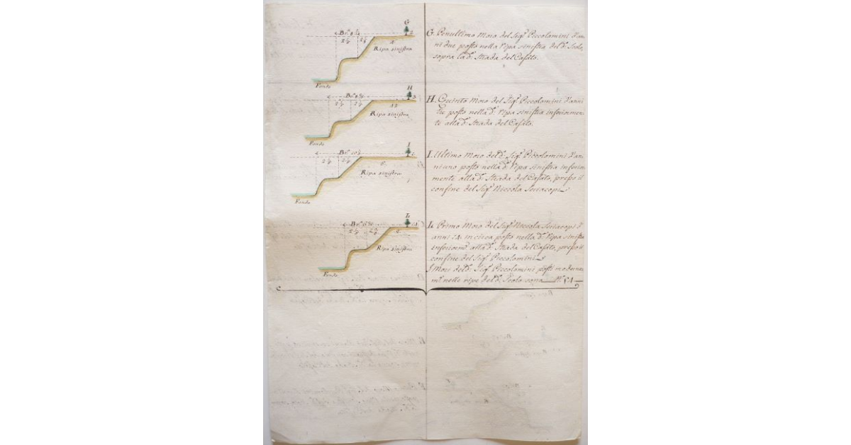 Sezioni della ripa destra, e sinistra del Fosso di Scolo dè Prati d'Asinalunga in quel Tronco ove esistono i mori stati piantati dagl'Eredi del g. Nobile Signor Muzio Piccolomini nella Villa del Casàto