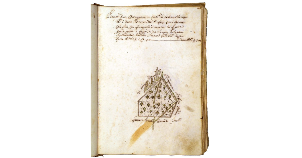 [Castagneto in contrada la Carboncella luogo detto i Mori]