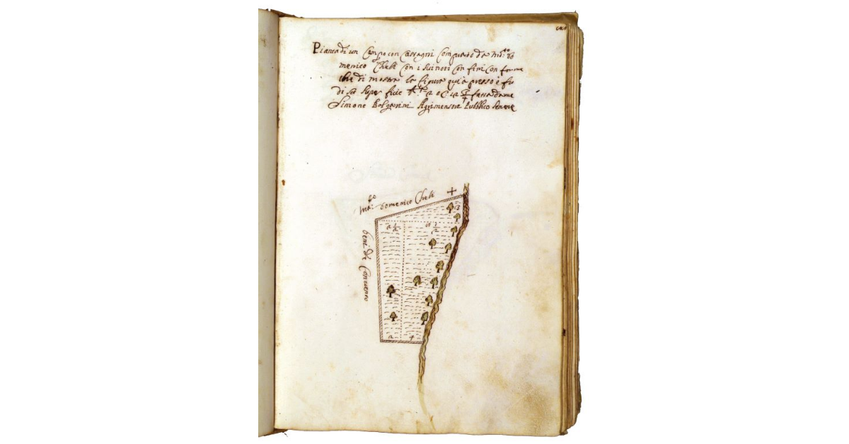 [Appezzamento di terreno seminativo con castagni presso Piancastagnaio]