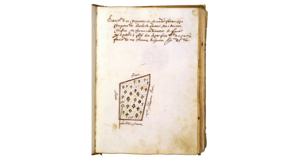 [Castagneto in contrada il Fossato cupo]