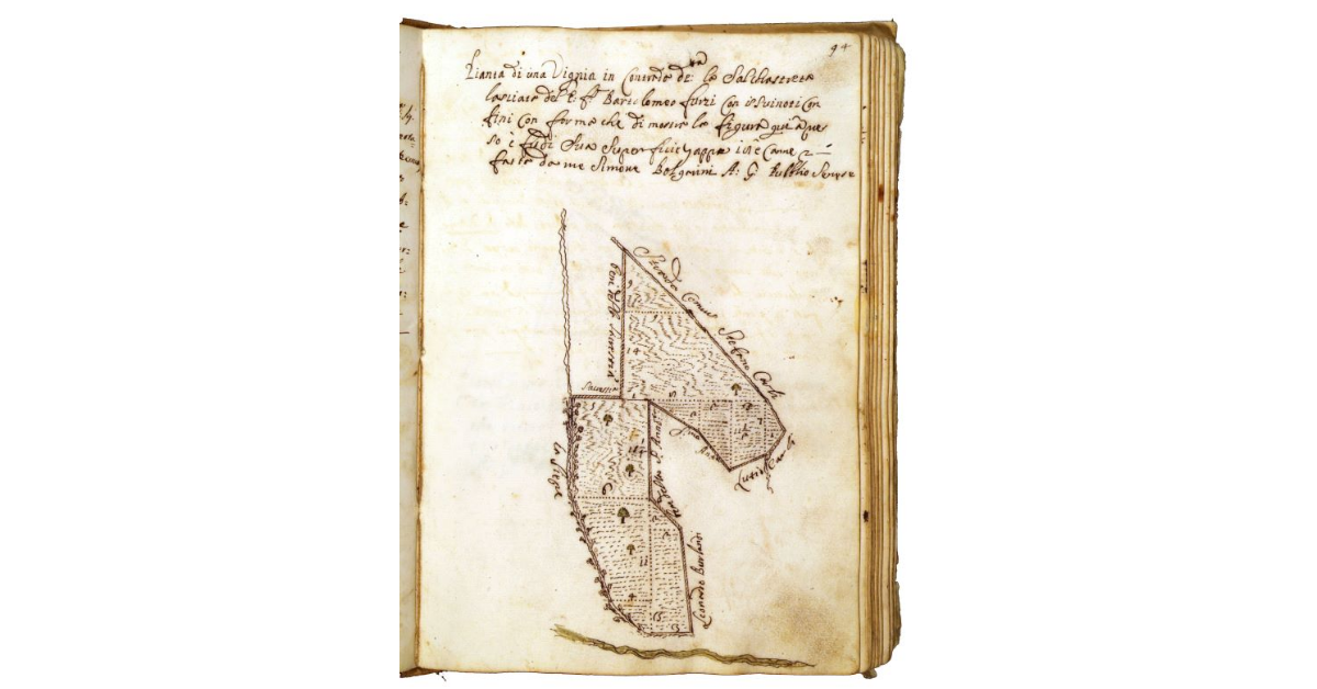 [Vigna in contrada "la Salchastreta"]