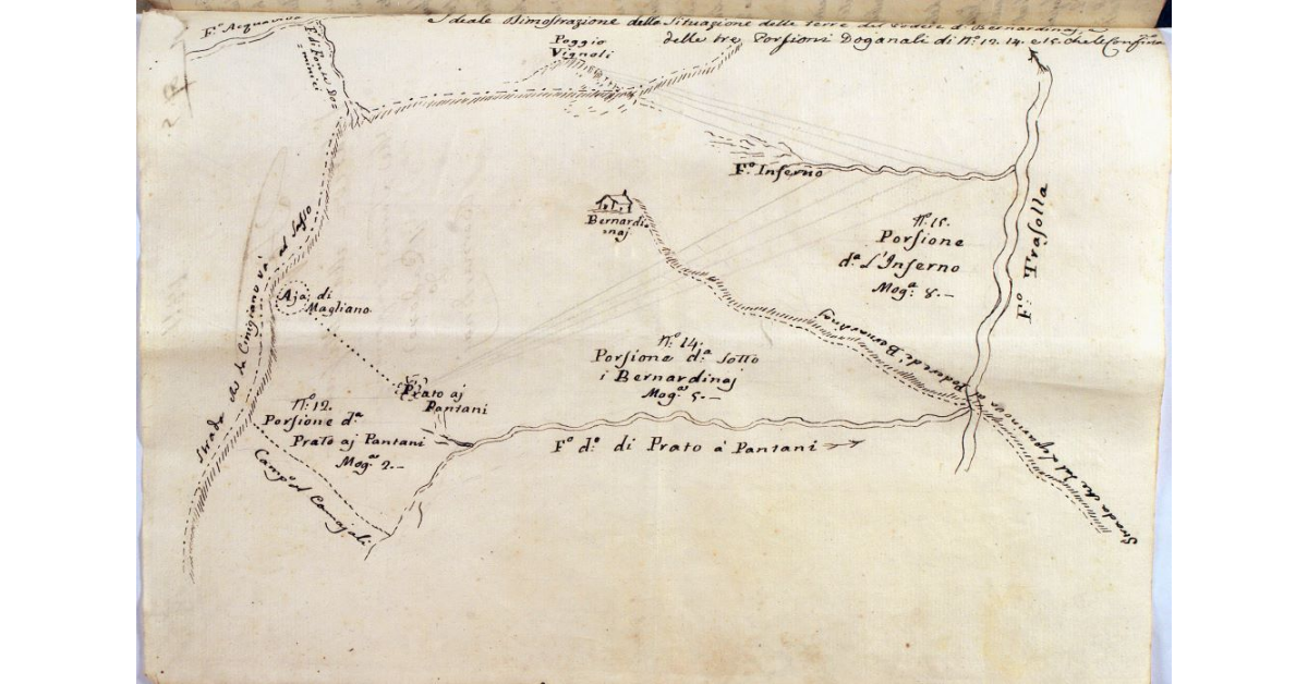 Ideale dimostrazione della situazione delle terre del Podere detto Bernardinaj e delle tre Porzioni Doganali di N°: 12. 14 e 15. che le confinano