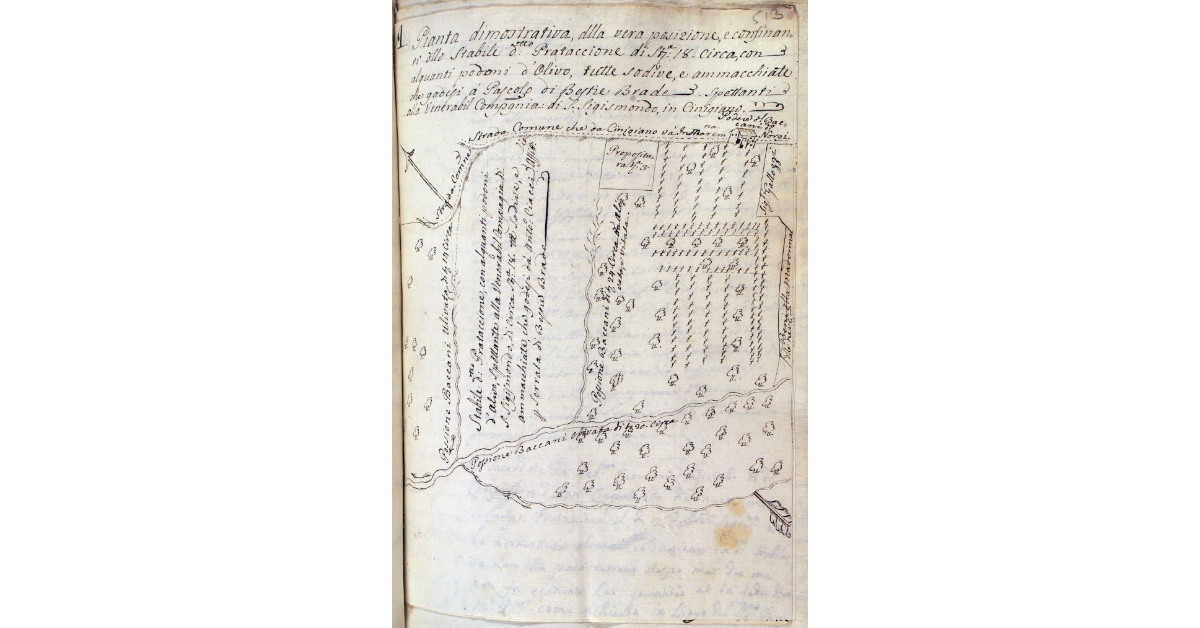 Pianta dimostrativa, della vera posizione, e confinanti dello Stabile detto Prataccione di St.ª 18 circa, con alquanti podoni d'olivo, tutte sodive, e ammacchiate che godesi al Pascolo di Bestie Brade spettanti alla venerabil Compagnia di S. Sigismondo, in Cinigiano