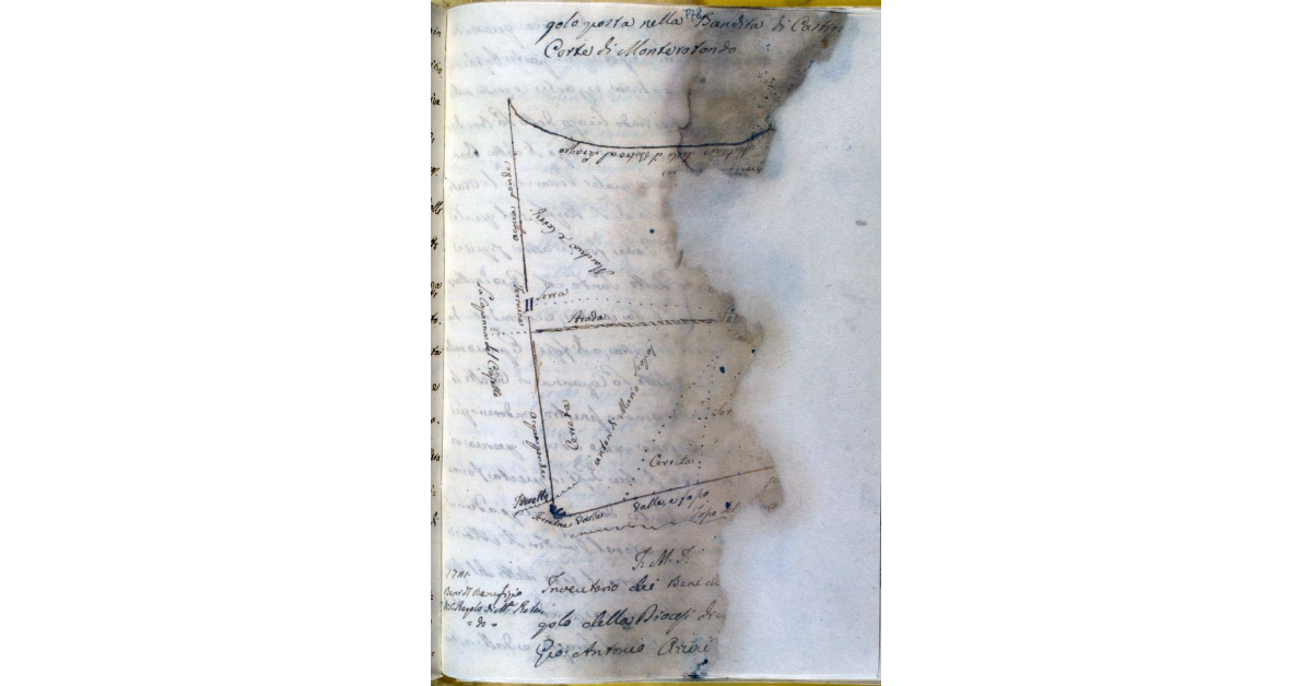 [Pianta della bandita di Castiglione nella corte di Monterotondo]