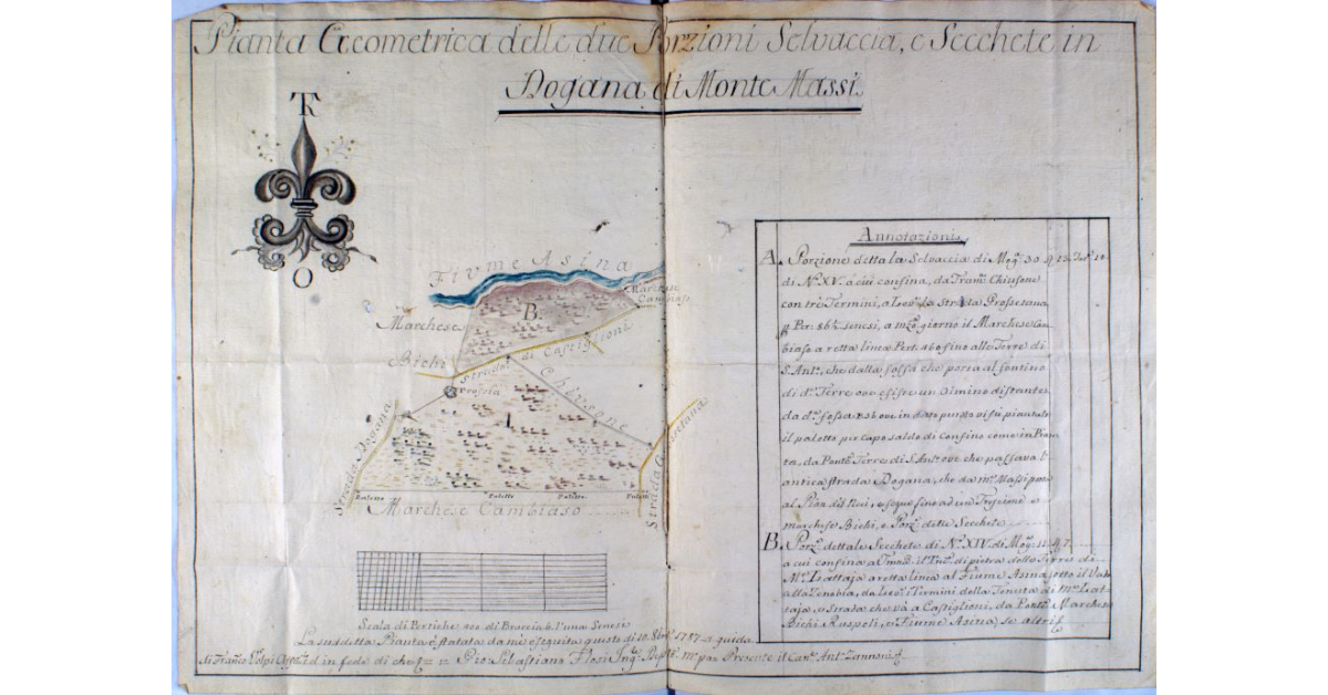 Pianta geometrica delle due Porzioni Selvaccia, e Secchete in Dogana di Monte Massi