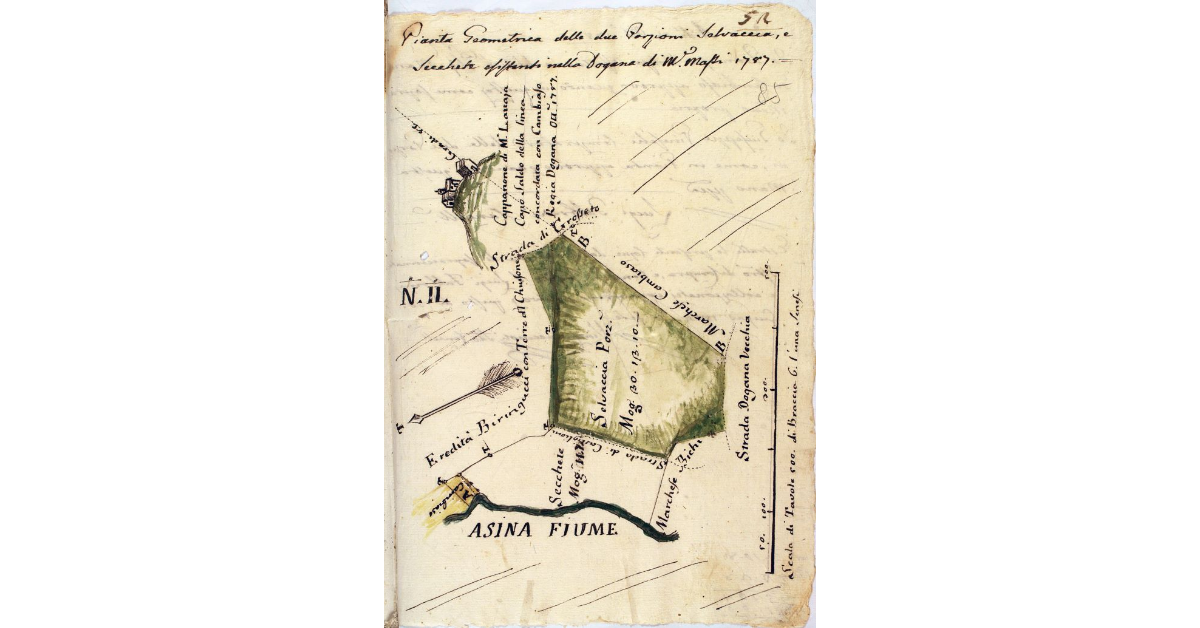 Pianta Geometrica delle due Porzioni Selvaccia, e Secchete esistenti nella Dogana di M. Massi 1787