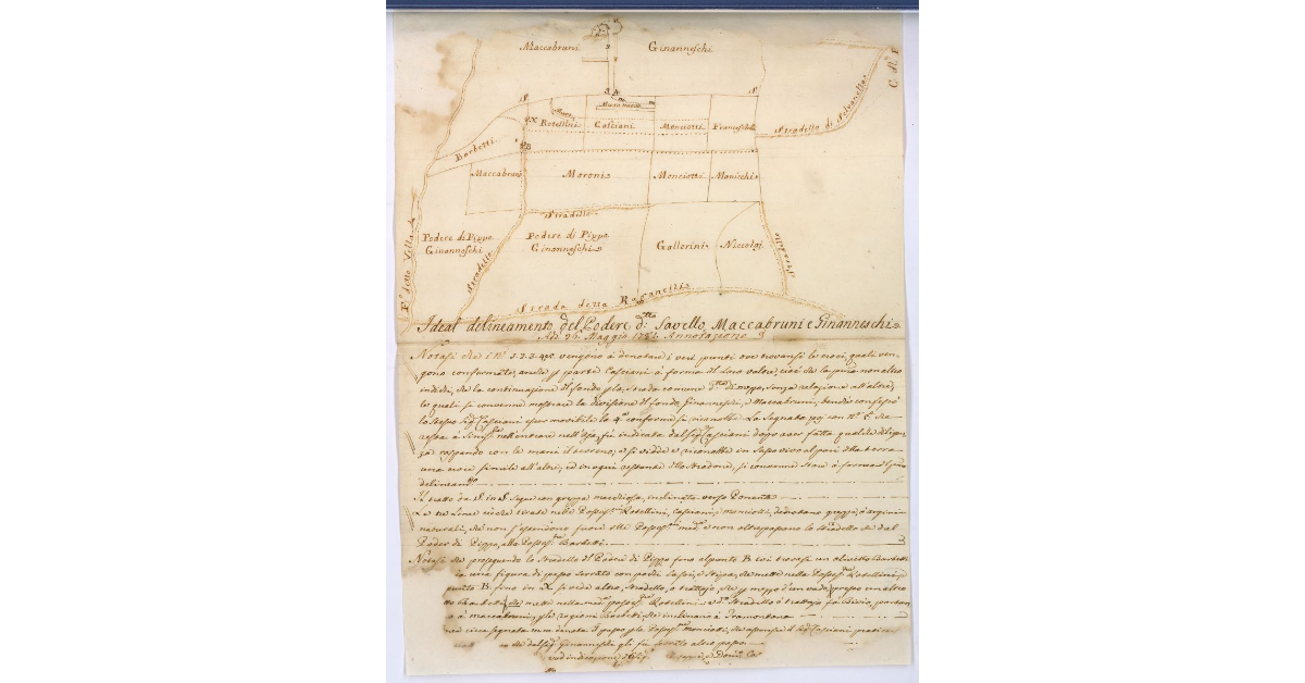 Ideal delineamento del Podere detto Savello, Maccabruni e Ginanneschi