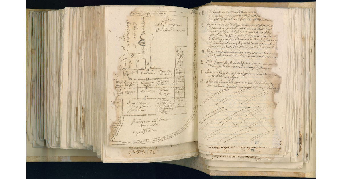 [Mappa del podere Savello e degli appezzamenti di terreno limitrofi]