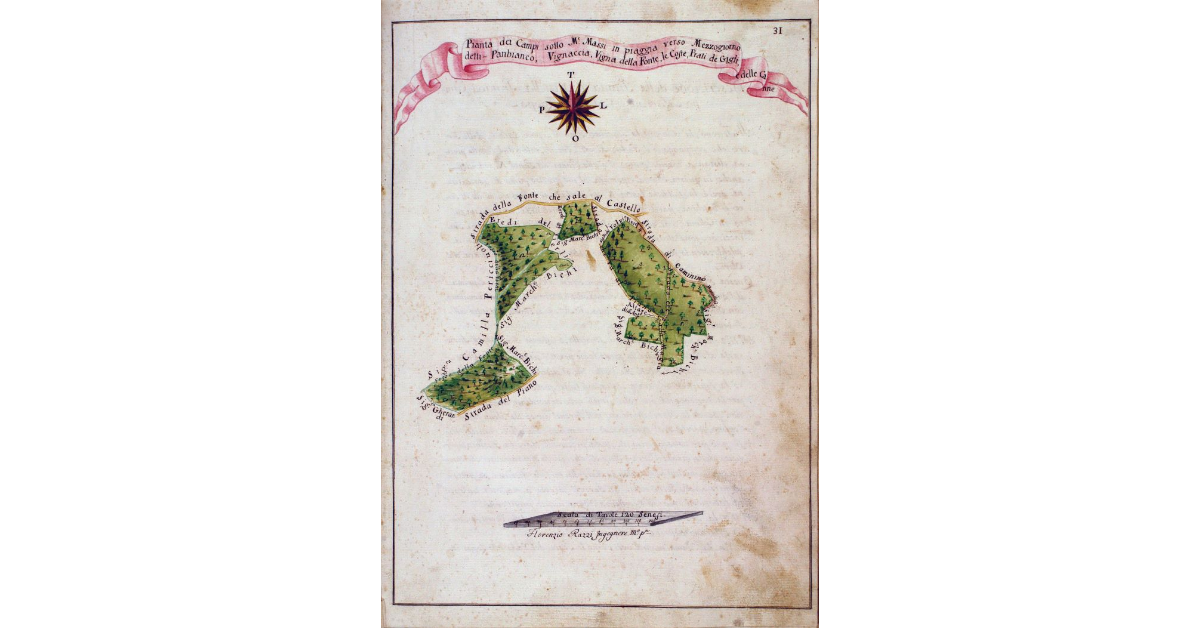 Pianta dei Campi sotto M.e Massi in piaggia verso Mezzogiorno detti Panbianco, Vignaccia, Vigna della Fonte, le Coste, Prati de Gigli, e delle Canne