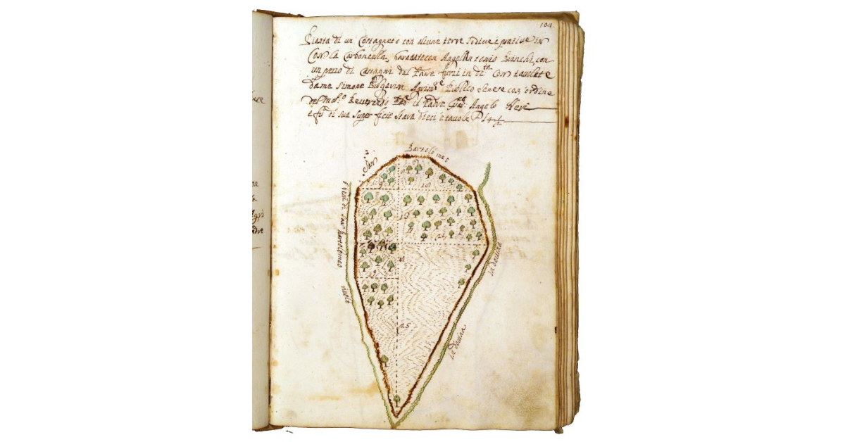 [Castagneto con terre sodive in contrada "la Carboncella"]