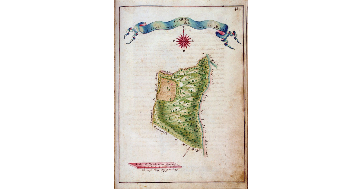 Pianta del Podere rovinato detto Casa de Melani