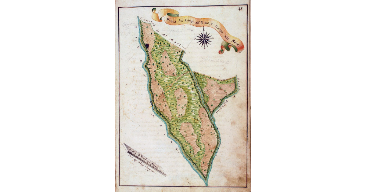 Pianta del Campo all'Ulivo, e Campo alla Noce