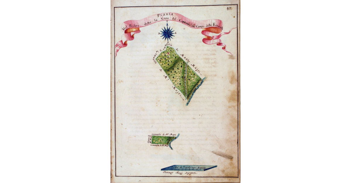 Pianta del Podere detto la Casa del Capitano, e del Campo delle Fornacelle