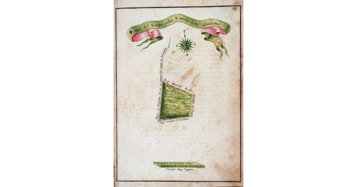 Pianta del Campo nella Contrada detta Sbroccano