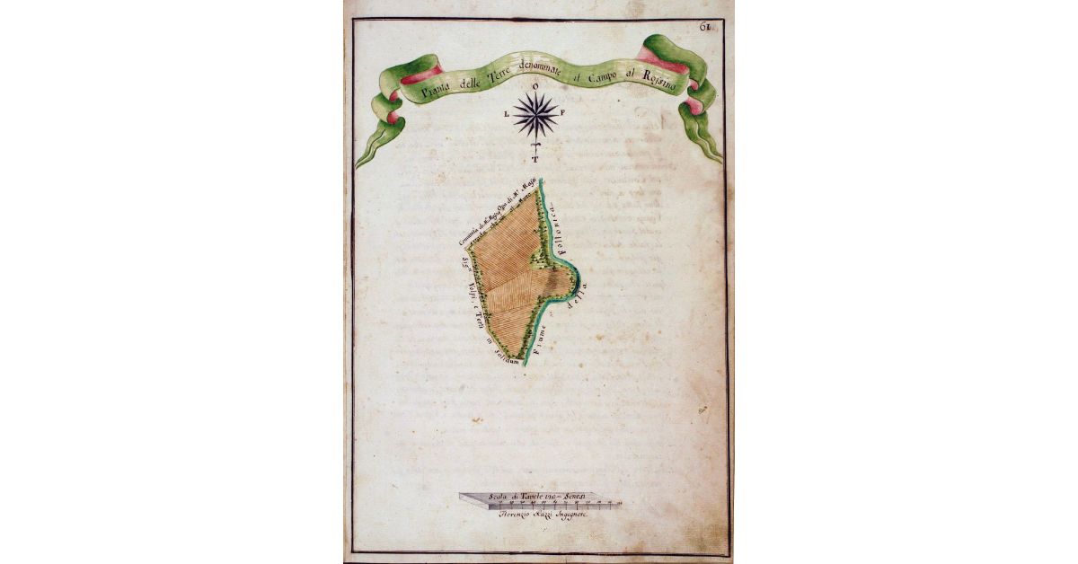 Pianta delle Terre denominate il Campo al Rossino