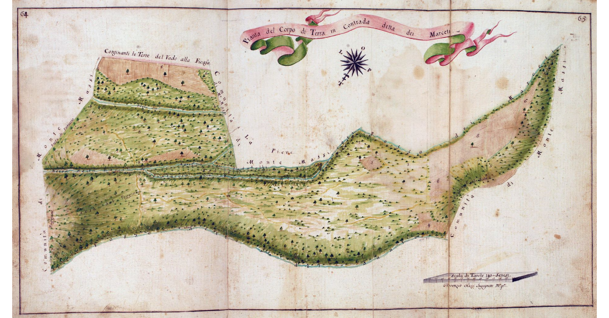 Pianta del Corpo di Terra in Contrada detta dei Marceti