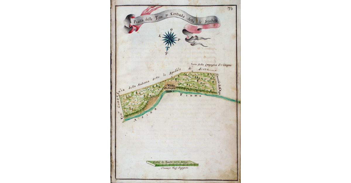 Pianta delle Terre in Contrada detta le Secchete