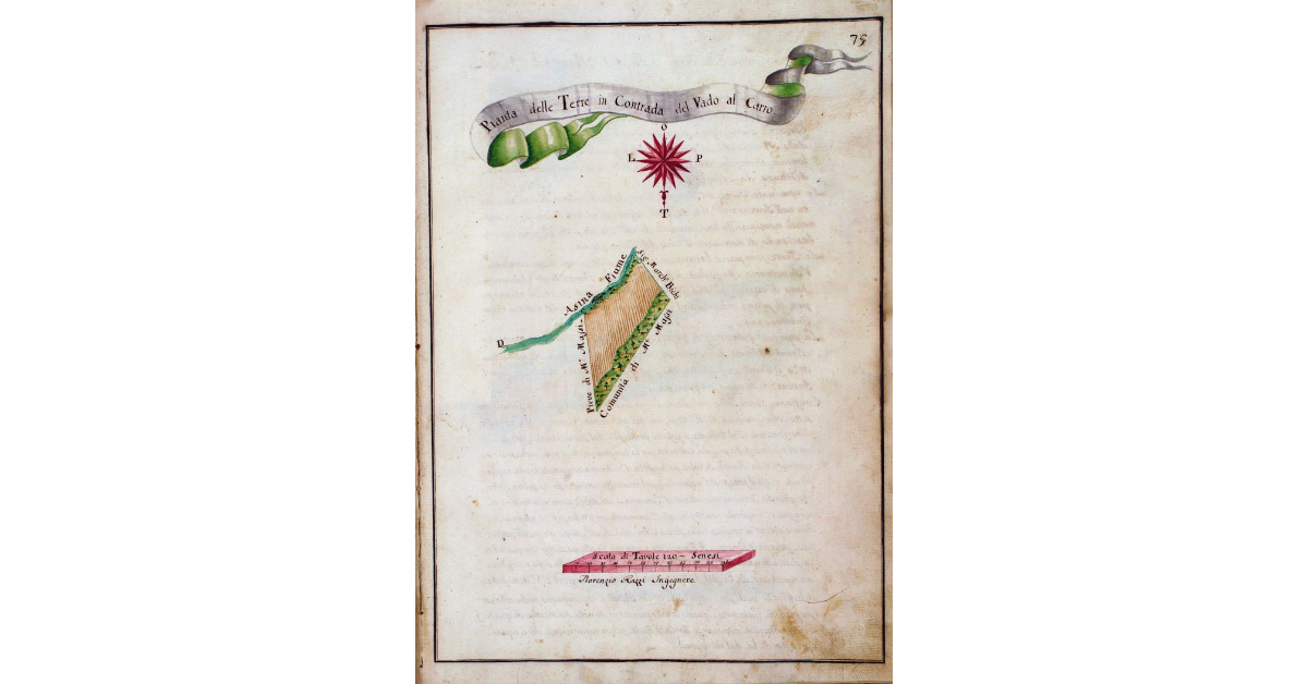 Pianta delle Terre in Contrada del Vado al Carro