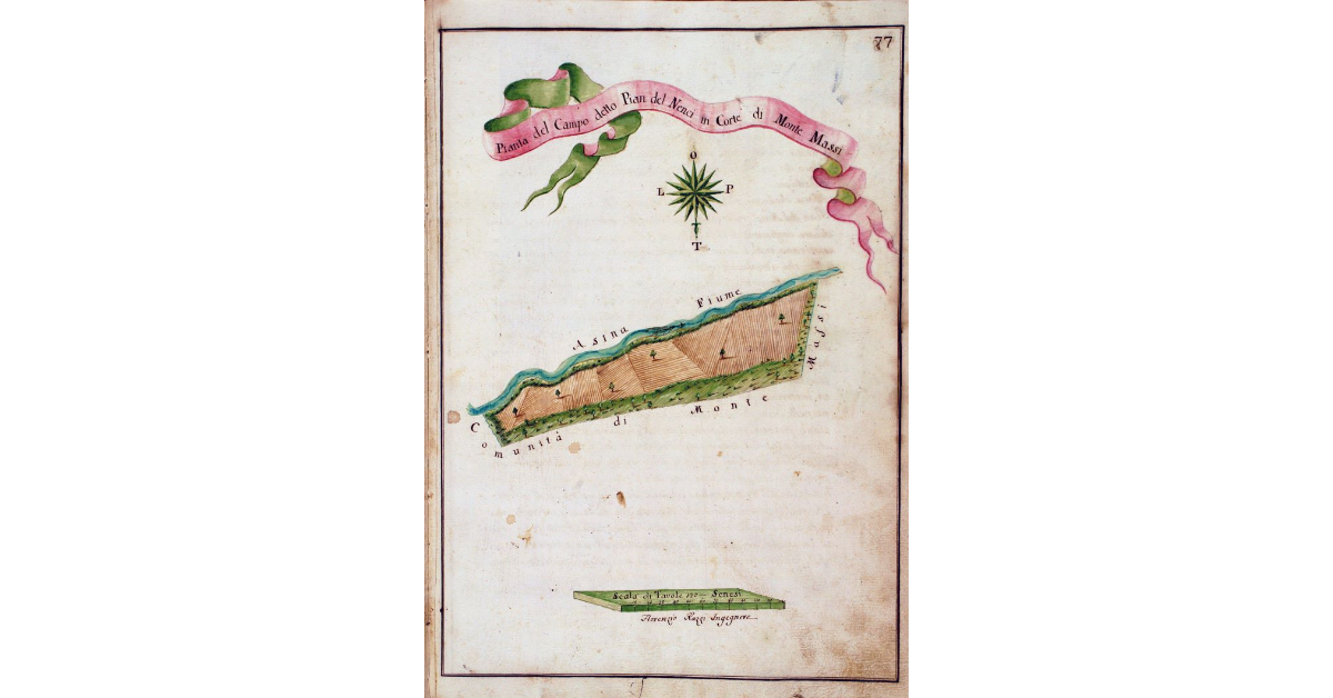 Pianta del Campo detto Pian del Nenci in Corte di Monte Massi