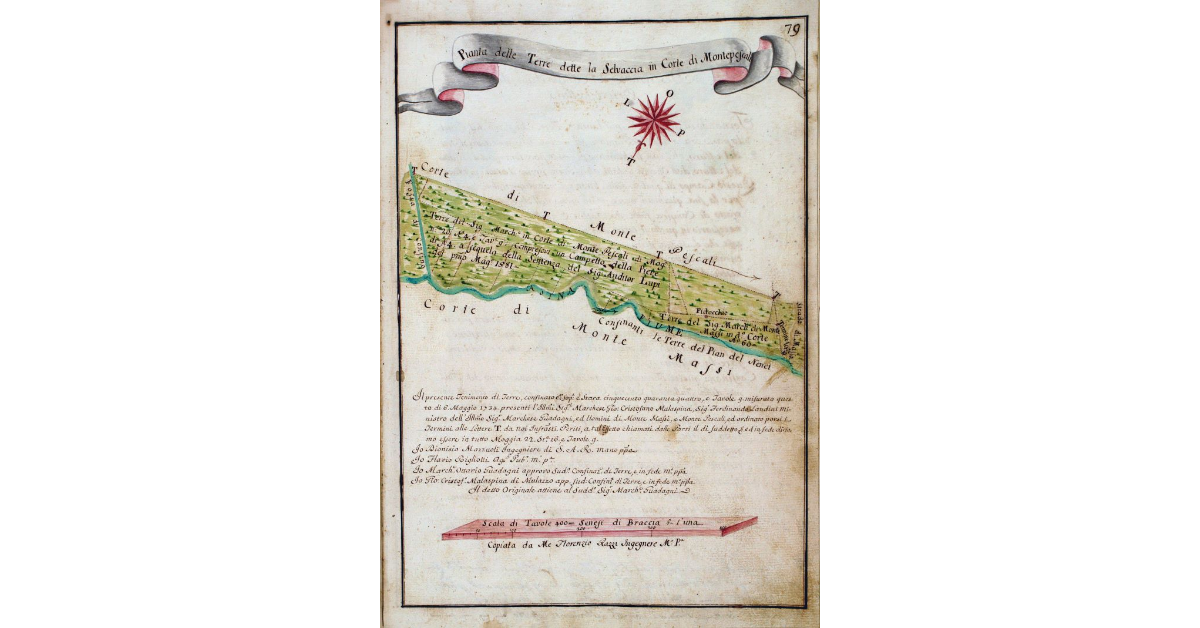 Pianta delle Terre dette la Selvaccia in Corte di Montepescali