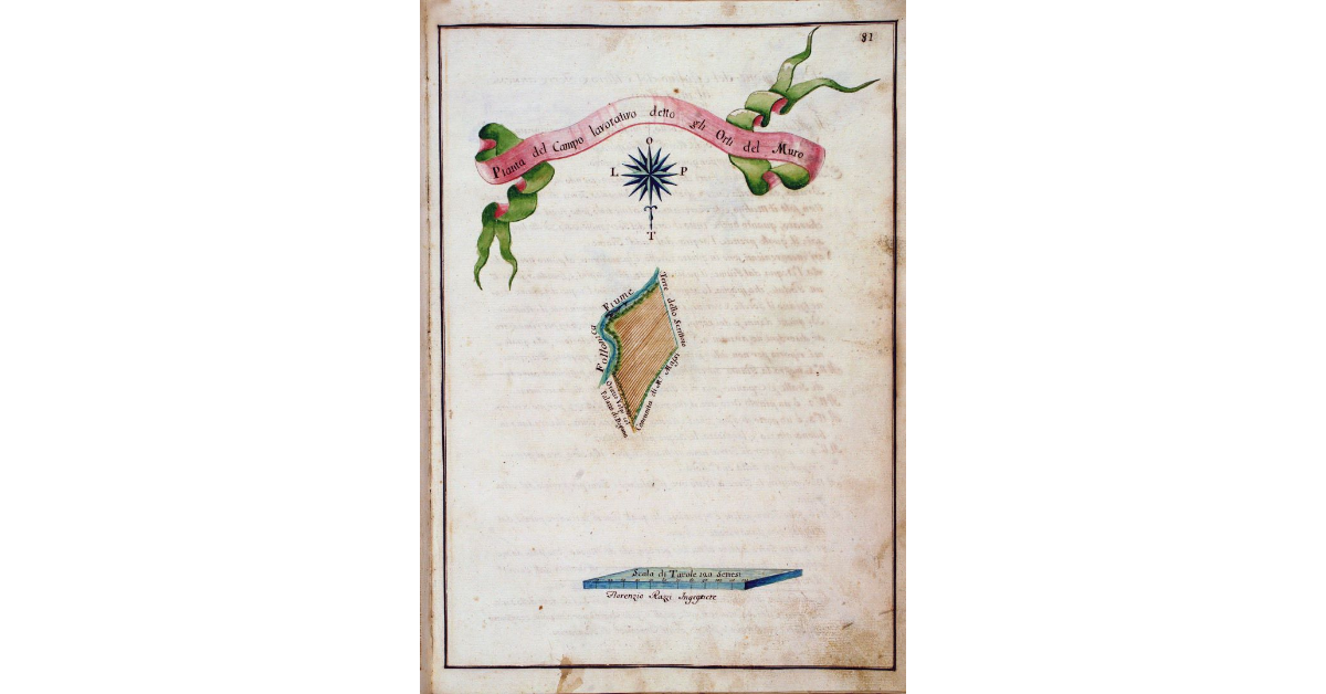 Pianta del Campo lavorativo detto gli Orti del Muro