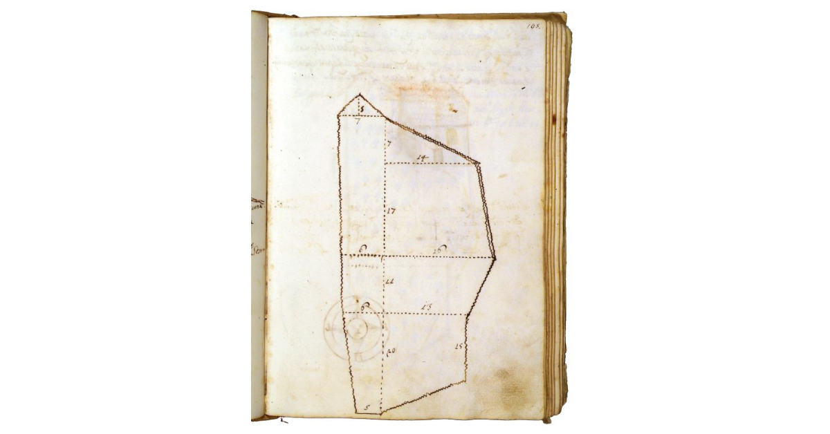 [Schizzo preparatorio di un appezzamento di castagneto a Piancastagnaio]