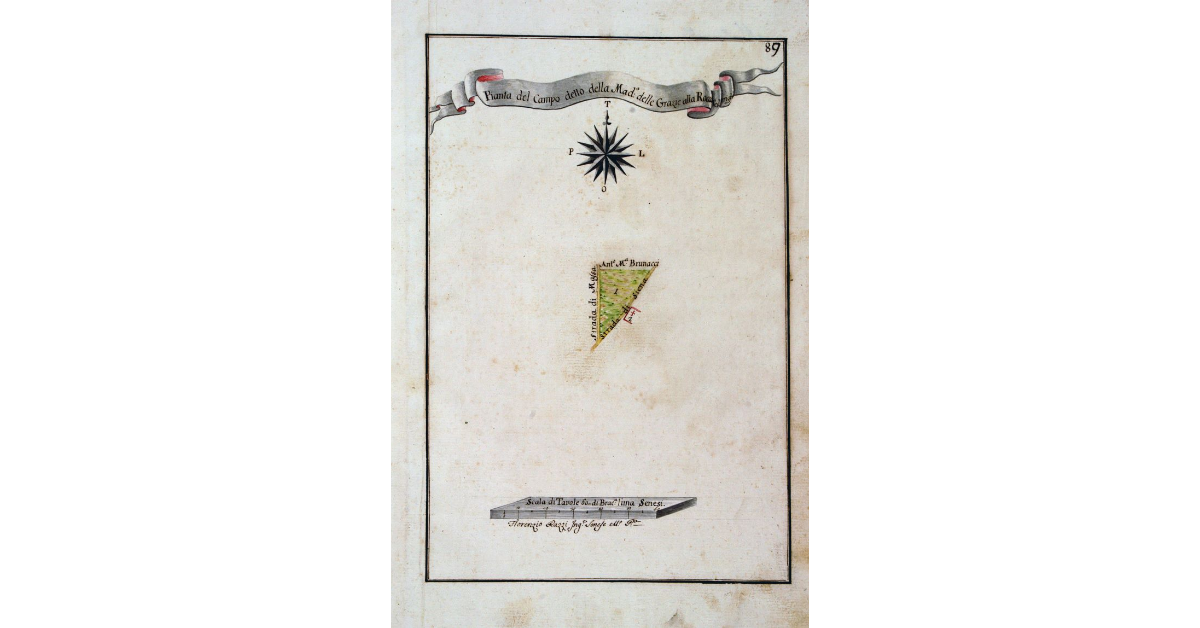 Pianta del Campo detto della Mad.a delle Grazie alla Rocca Tederighi
