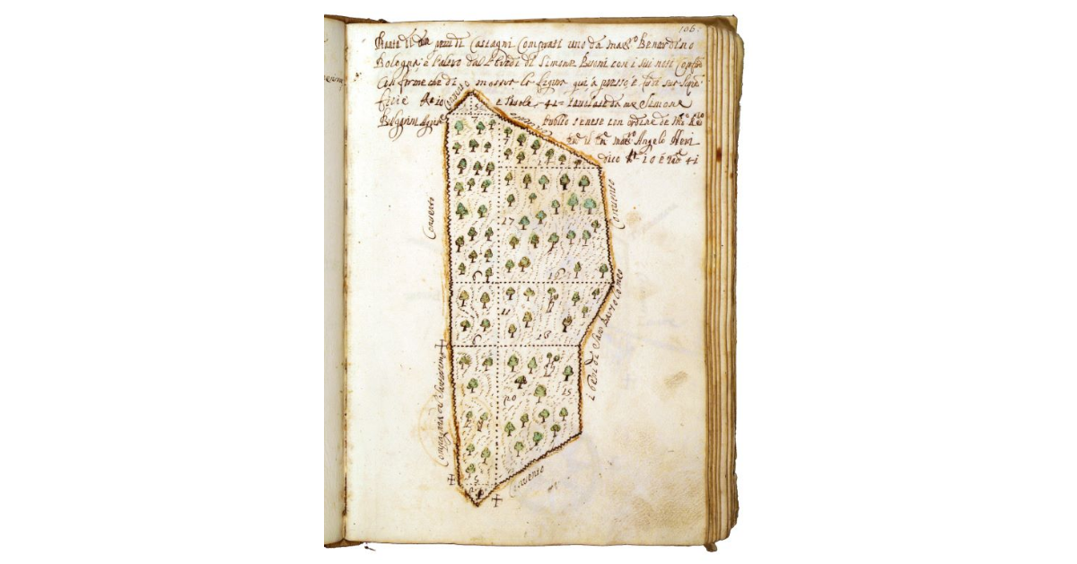 [Castagneto presso Piancastagnaio]