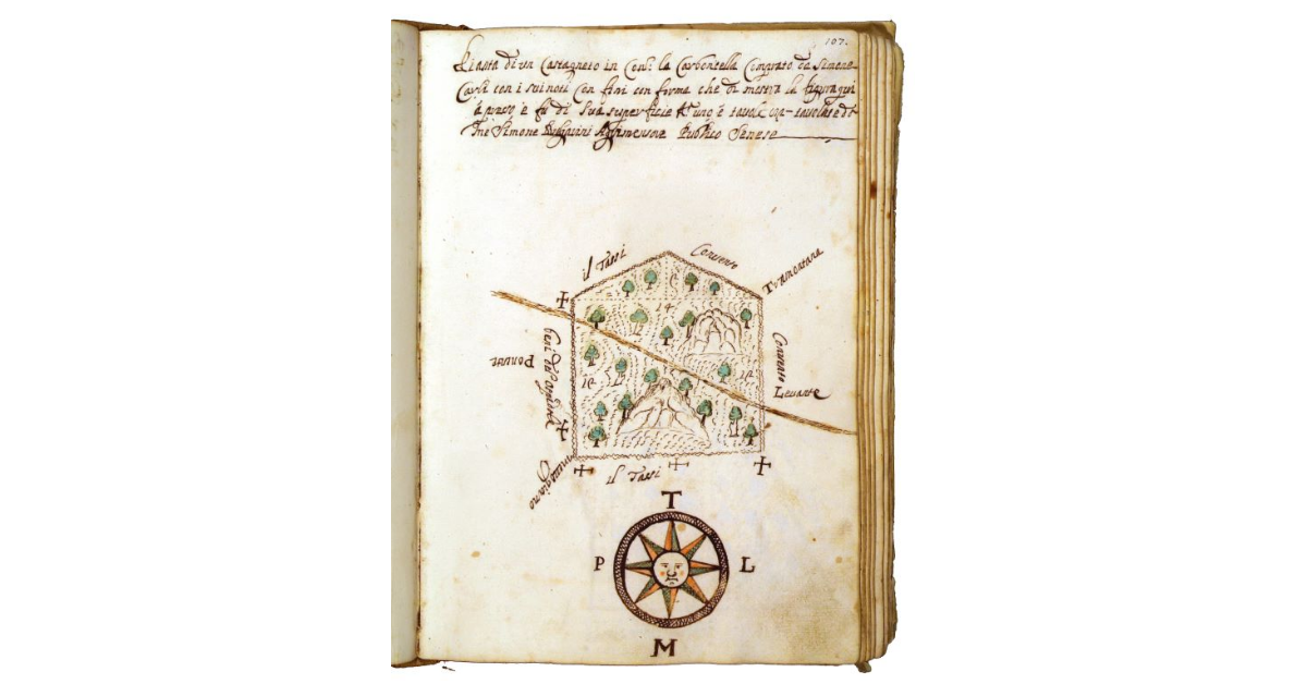 [Castagneto in contrada "la Carboncella"]