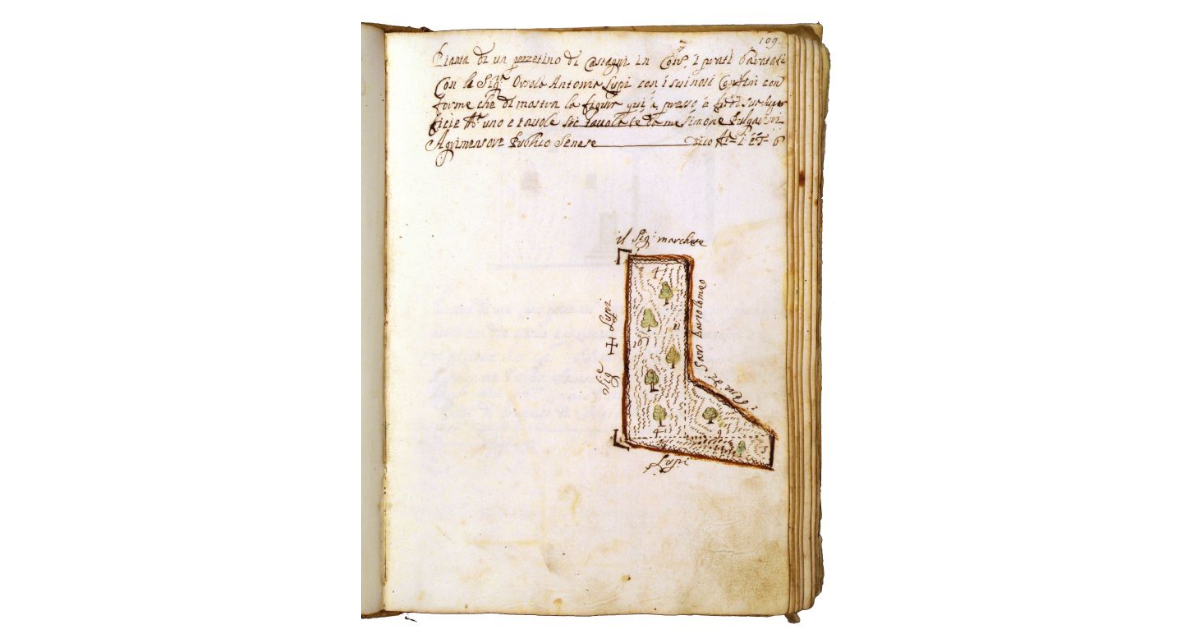 [Castagneto in contrada "i Prati"]