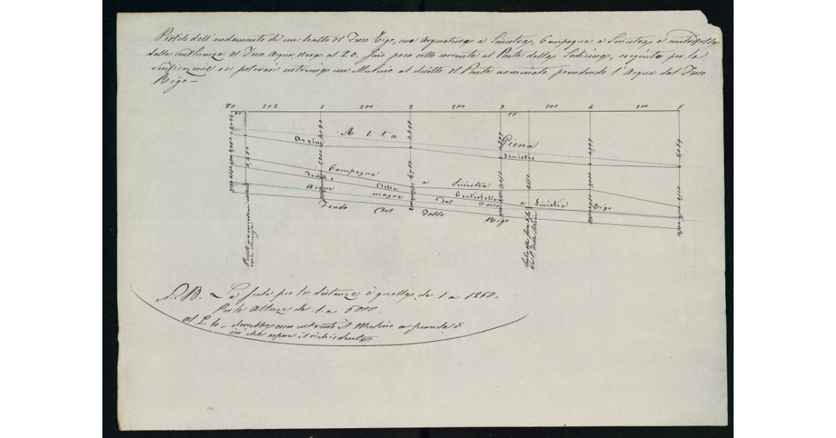 Profilo dell'andamento di un tratto del Fosso Rigo, sua arginatura a Sinistra, Campagna a Sinistra e controfossa dalla confluenza del Fosso Acqua Nera al P. 0 fino poco sottocorrente al Ponte della Selicina, eseguito per la verificazione se potevasi costruire un Mulino al disotto del Ponte nominato prendendo l'acqua del Fosso Rigo