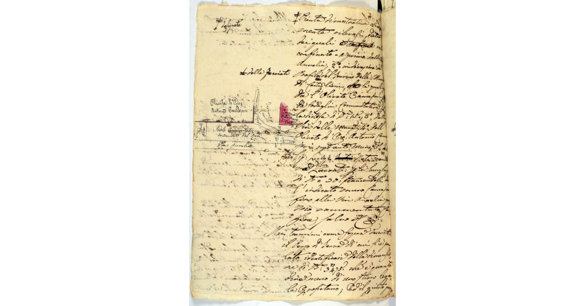 [Pianta del suolo da assegnare a Luigi Beti nelle adiacenze di Castiglione della Pescaia]