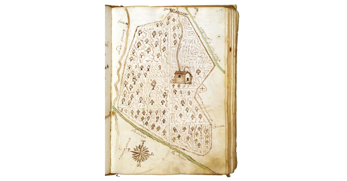 [Appezzamento "chiusato e querciato" presso Piancastagnaio]