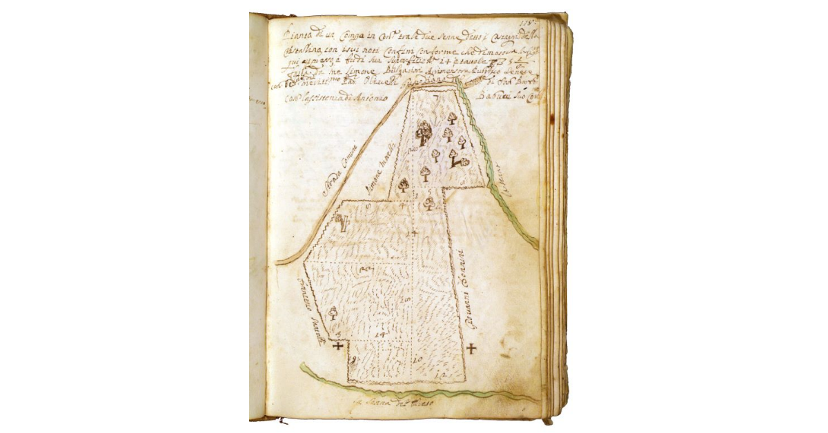 [Appezzamento posto in contrada "tra le due Senne" detto "i castagni della Cristallina"]