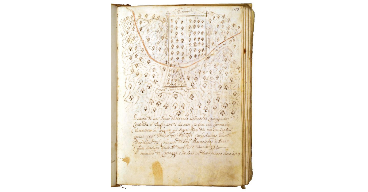 [Appezzamento di terreno alberato di castagni in contrada "il Taglia"]