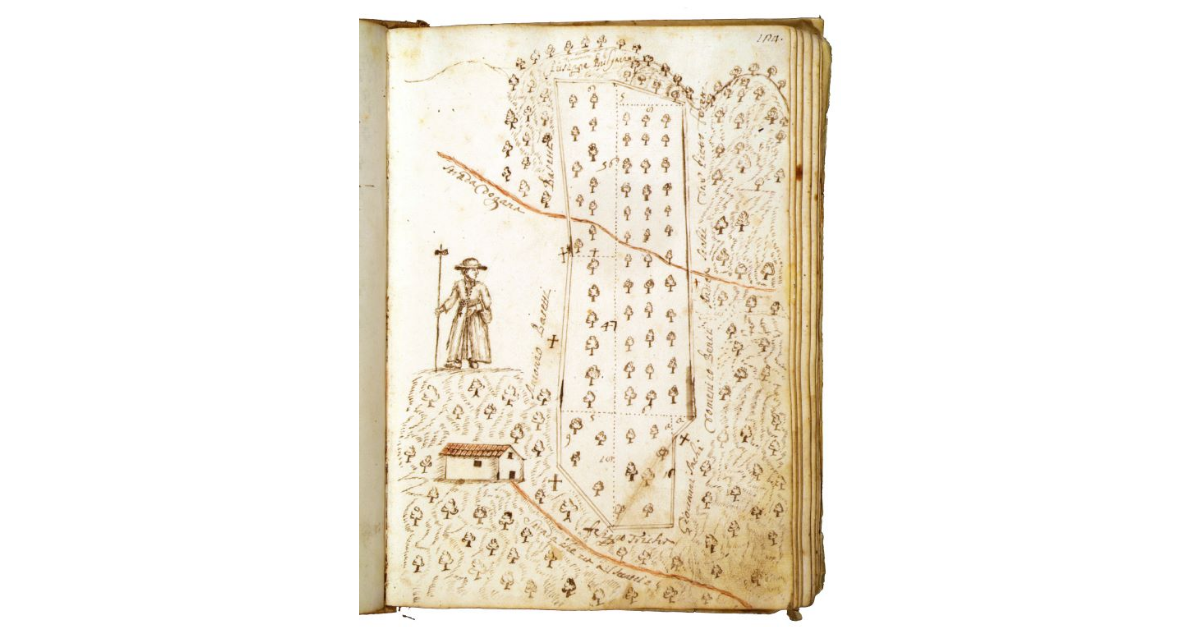 [Castagneto detto "il Taglia"]