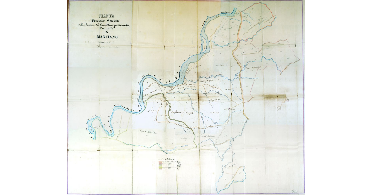 Pianta Geometrica Catastale della Tenuta dei Cavallini posta nella Comunità di Manciano