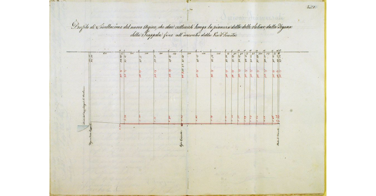Profilo di Livellazione del nuovo Argine, che deve costruirsi lungo la pianura detta delle Saline, dalla Dogana della Trappola fino all'incontro della Via di Pineta