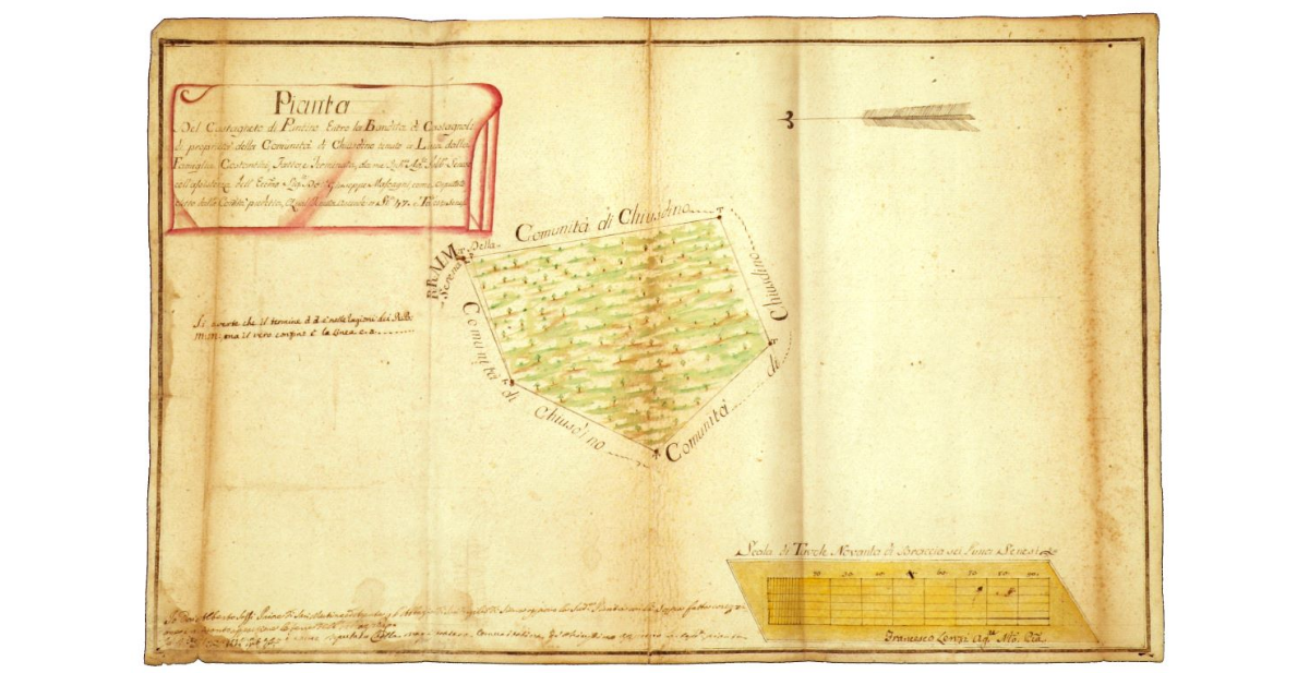 Pianta del castagneto di Puntino entro la bandita di Castagnoli di proprietà della comunità di Chiusdino tenuto a linea dalla famiglia Costantini [...]