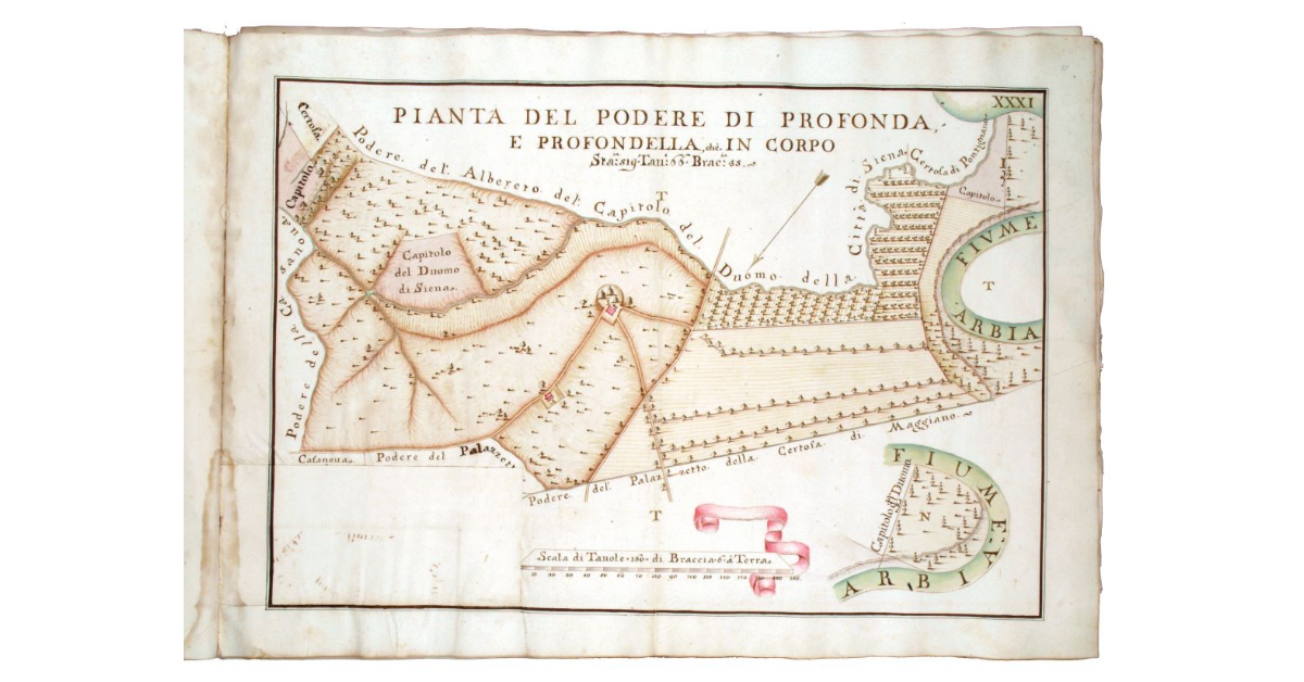 Pianta del podere di Profonda e Profondella, ch'è in corpo staia 519, tavole 66, braccia 35